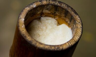 Teebaumöl zur Behandlung von Warzen