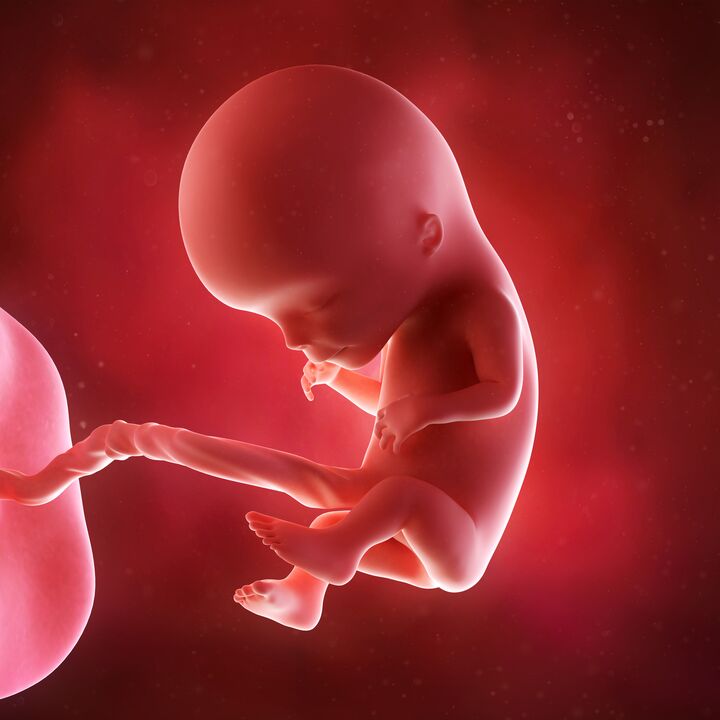 Baby im Mutterleib